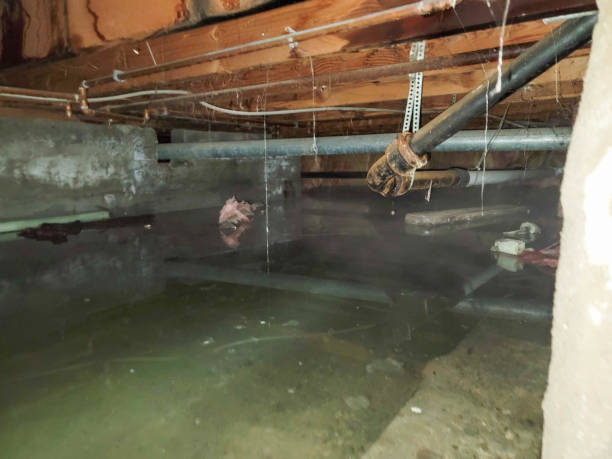 Best Ceiling water damage repair  in Zillah, WA