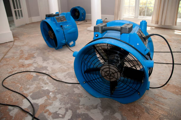 24/7 water damage repair in WA