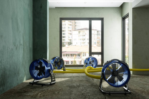 Best 24-hour water damage restoration  in Zillah, WA