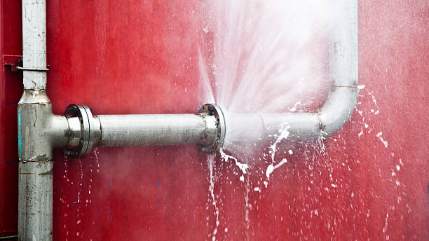 Best Local water damage restoration  in Zillah, WA